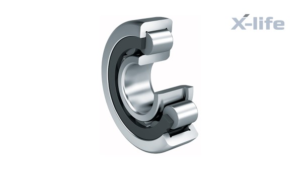 Schaeffler rolling bearings and plain bearings: Cylindrical roller bearing with cage